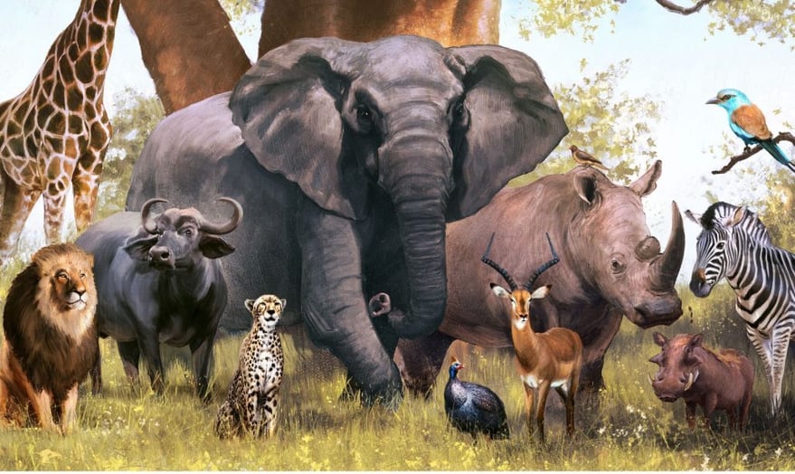 Wild-animals-1024x611-1